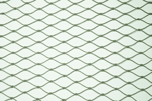 Build.line