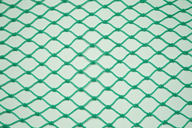 Build.line